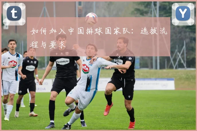 如何加入中国排球国家队：选拔流程与要求